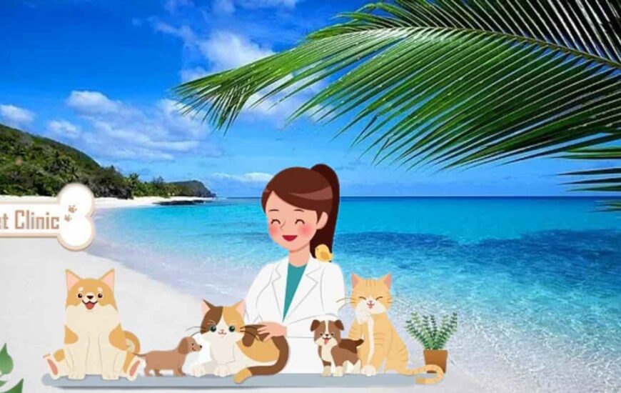 Çizim olarak veteriner ve etrafında köpek ve kediler bulunmakta. Arka planda ise sahil bulunmakta.