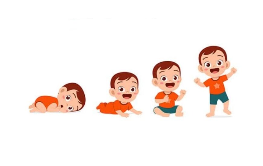 bir bebeğin gelişimine dair çizim