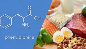 phenylalanine molekülü ve yiyecekler